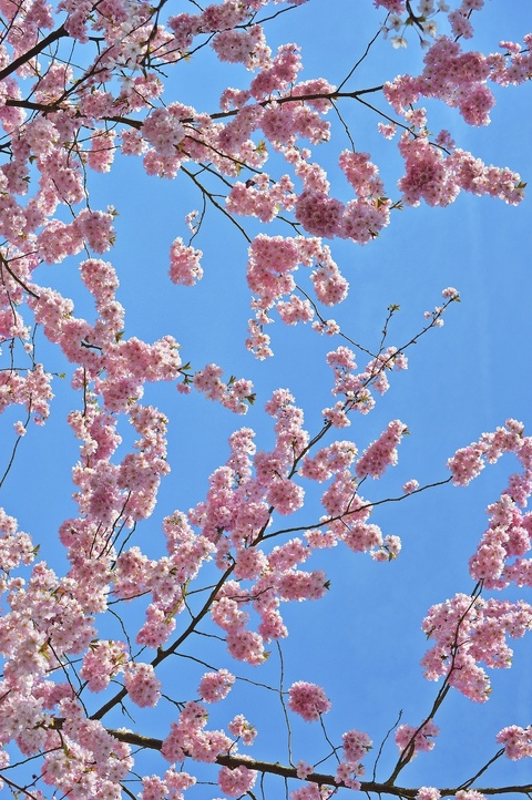 Baby @babygirl00004 cover picture