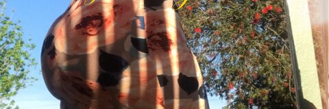 𝒦𝒶𝓎𝓁𝒶 𝕏𝕆 📲 0421048291 @babygirlkaylaxo cover picture