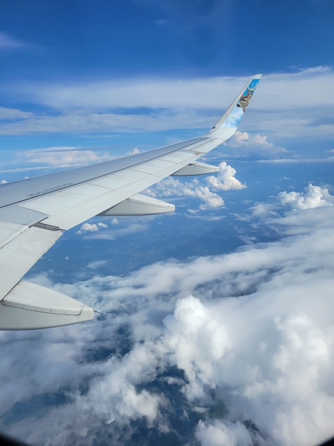 Babygirll311 @babygirll311 cover picture