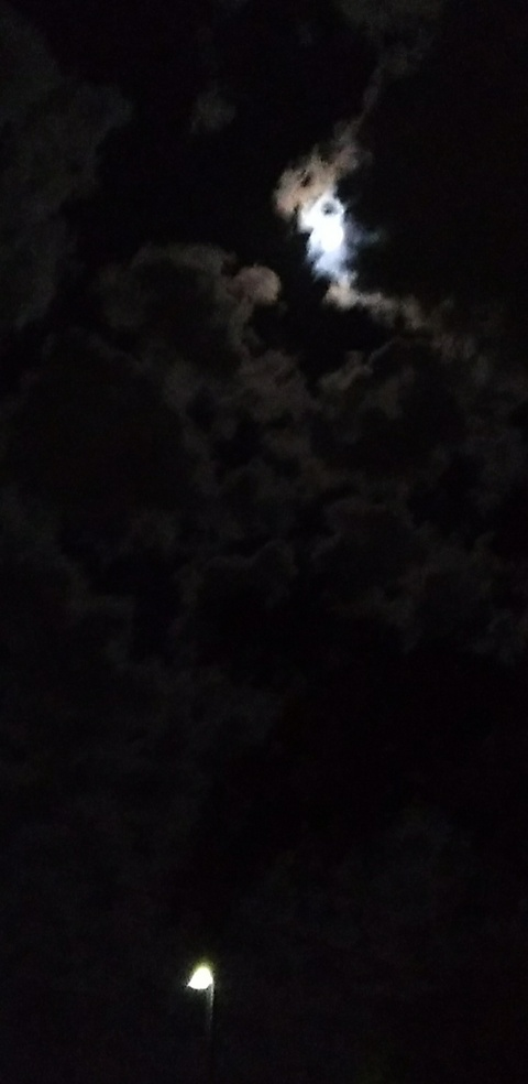 XOBabygurlXO @babygurlxoxo cover picture