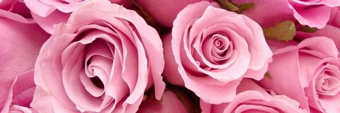 Christine @babypink cover picture