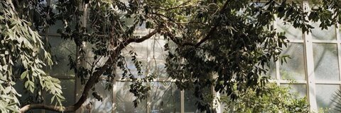 rhi @babyzooted cover picture