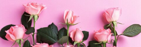 Barbie Girl @baddgirlbarbie cover picture