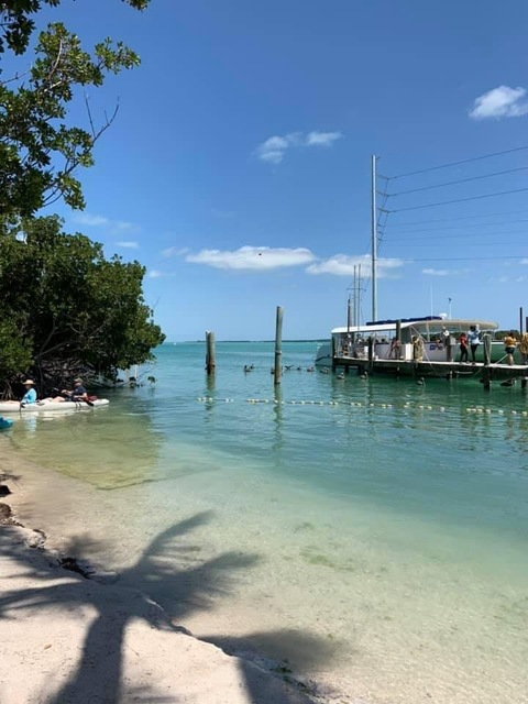 Michael Banks @bankz1234 cover picture