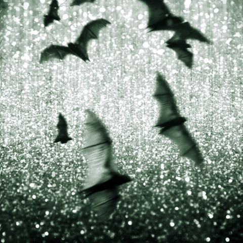 Batty @battybimbo cover picture