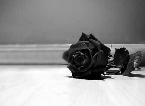 Bearded Villain @beardedvillain82 cover picture