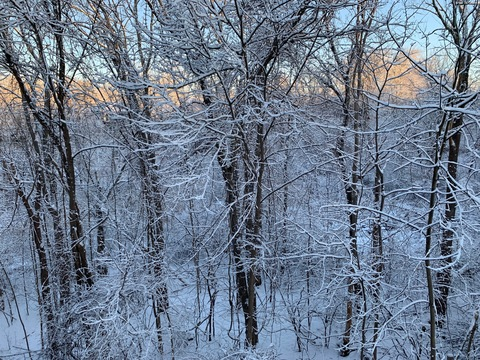 Bear @bearr cover picture