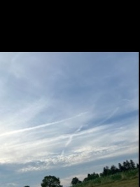 Tara plegge @beautifuldisaster37 cover picture