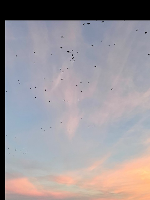 BeCeline @beceline cover picture