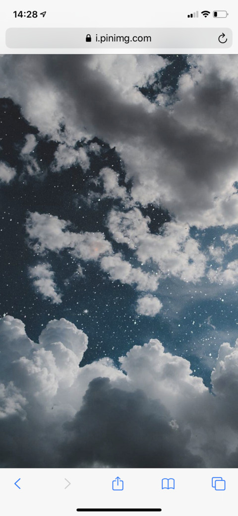 BellaX @beeboo cover picture