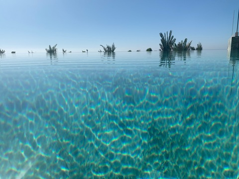 Bella @bellaalee cover picture