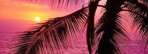 lovelyfeets @bellacaramela cover picture