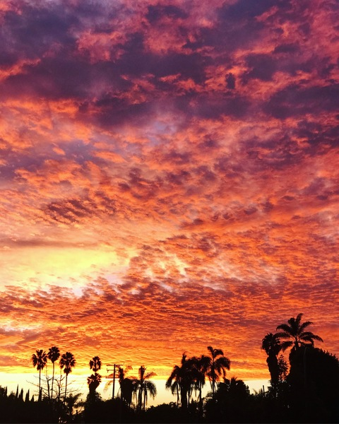 bellah @bellahstoes cover picture