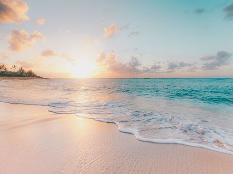 Bella Kim @bellakim cover picture