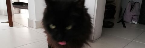 Brianna @beltanatos cover picture