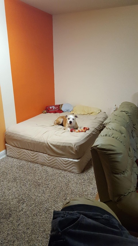 Taylor @bi_emo cover picture