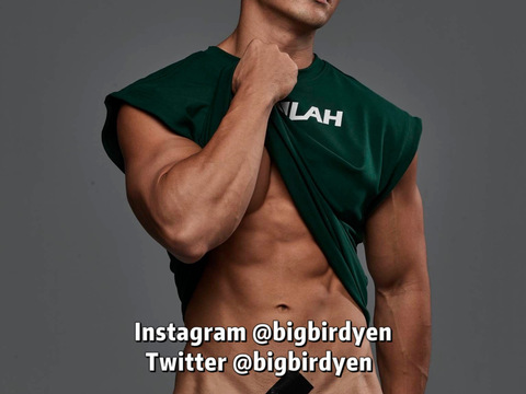 何政諺 Big Bird Yen @bigbirdyen cover picture
