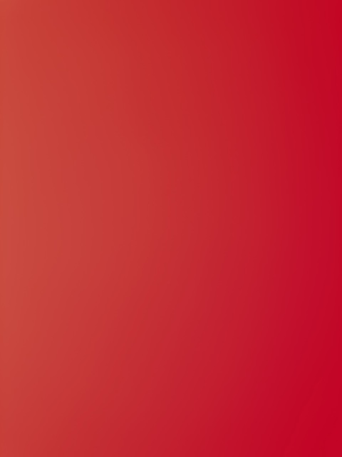 Nina B @bigbootynina cover picture