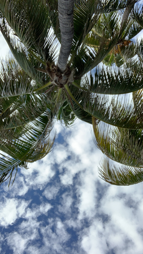 Bike Dust @bikedust cover picture