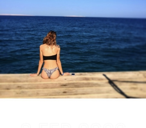 Bird of Paradise @birdofparadise26 cover picture