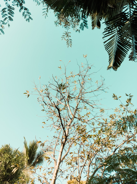 Bix @bixz1 cover picture