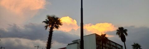 ScarVi @blackpoison cover picture