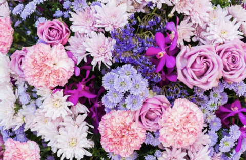 ?Geovanna Blasi? @blasigeovanna cover picture