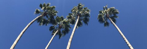 Saintly @blinked cover picture