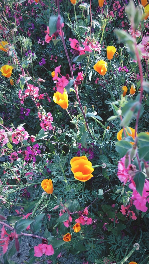 Alexx @blondielexx cover picture