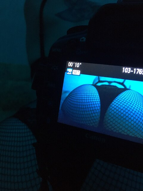 Мария Лисица @bloodyfox cover picture