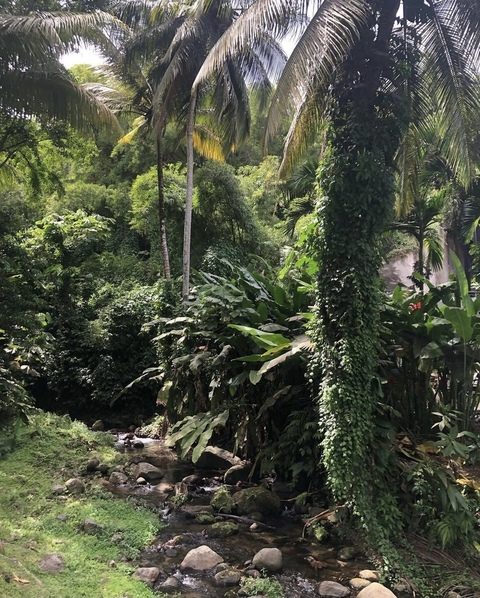 Anna Lena Wartemann @bluecrush23 cover picture