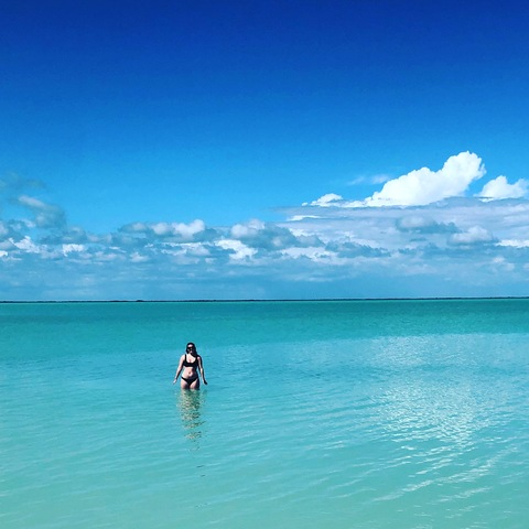 Bobbi L @bobbilittle11 cover picture