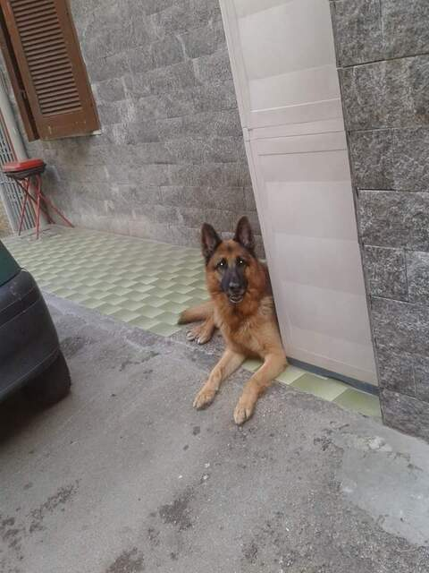 Bonbon1981 @bonbon cover picture