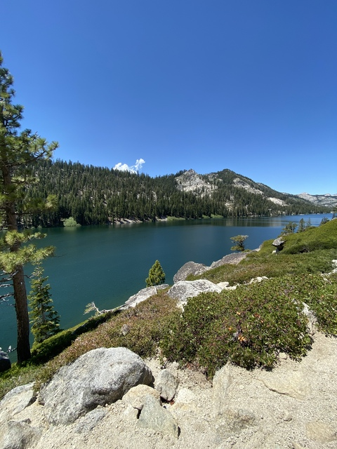 BonEverAfter @boneverafter cover picture