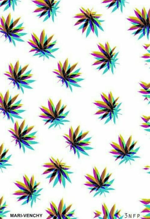 Terri @bonghitsandbigtits420 cover picture