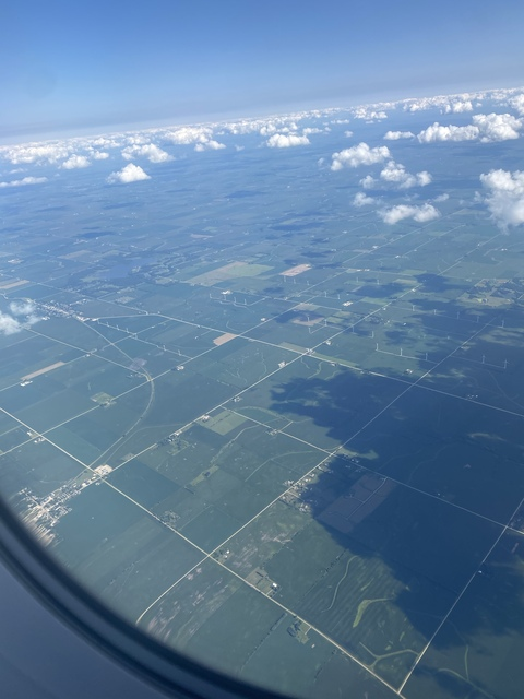 Bolbol @bowlme22 cover picture