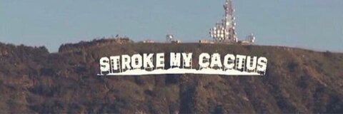 Rebecca Palma @bpalms21 cover picture