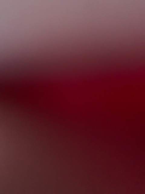 Brandon Jay @brandnewthot cover picture