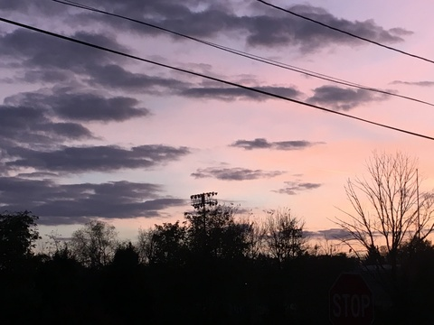 Brandy @brandyelizbeth cover picture