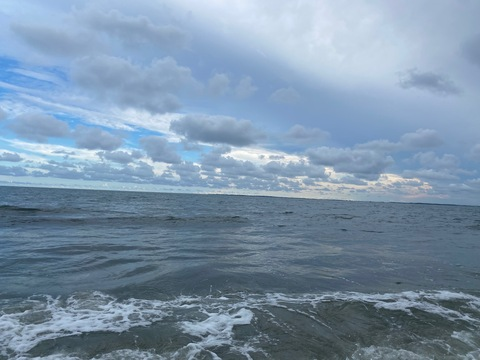 Bella Rose @brattybelle cover picture