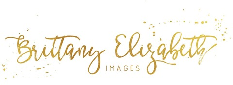 brittany_elizabeth (Elizabeth) free OnlyFans Leaked Content - LeakedBest