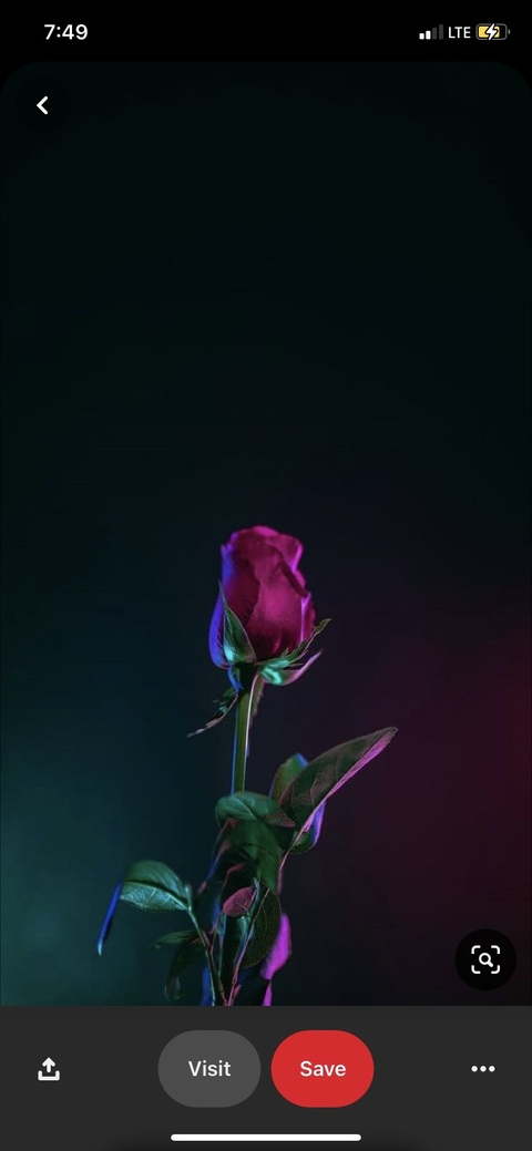 bella b @brlla cover picture