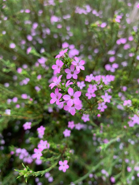 BubblyyBitch 🖤 @bubblyybitch cover picture