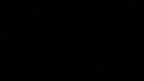 Rubina @bunnybina cover picture