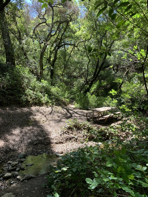 Red bunny @bunxx cover picture