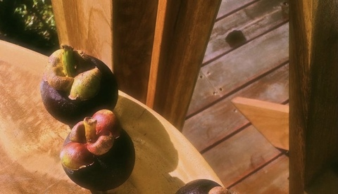 ashley solorzano @bxbybunz cover picture