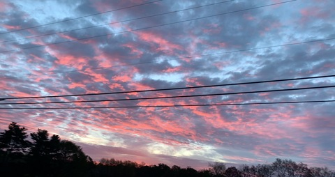 aaciddreamerr @c.brookkk cover picture