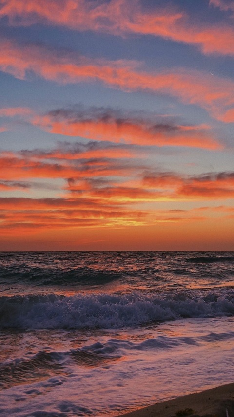 Cheyenne @c_rose cover picture