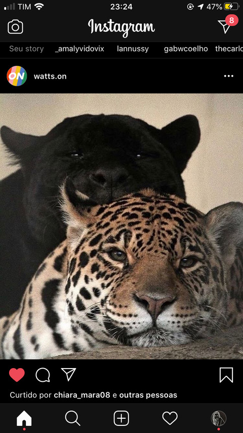 C A L L E S @calles cover picture