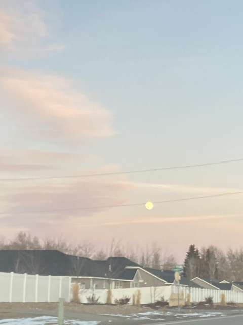 camryn red @camred cover picture